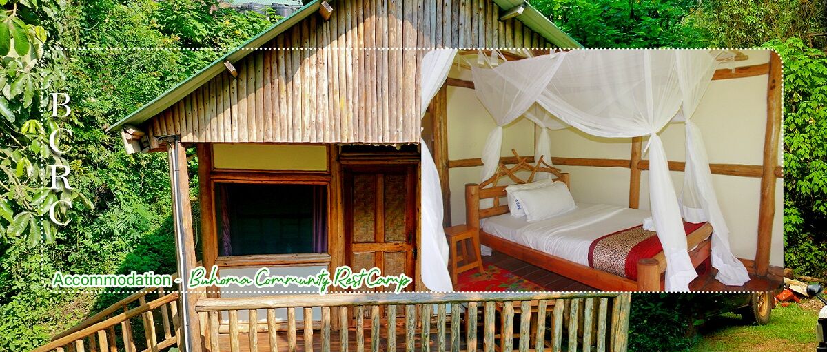 Buhoma Community Rest Camp in Bwindi — photo 3